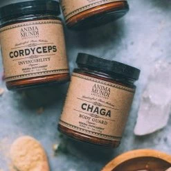Anima Mundi Herbals Anima Mundi - Chaga, Body Guard & Resilience Powder 5oz