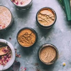 Anima Mundi Herbals Anima Mundi - Chaga, Body Guard & Resilience Powder 5oz