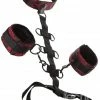 Cal Exotics Scandal - Collar Body Restraint
