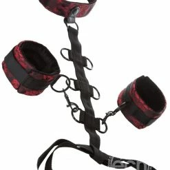 Cal Exotics Scandal - Collar Body Restraint