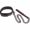 Cal Exotics Kink + BDSM Scandal - Collar With Leash