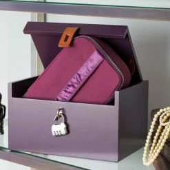 House Of Plume Moi Box Deluxe Toy Care, Cleaners + Storage