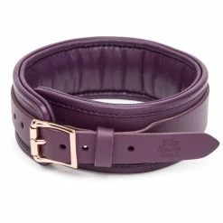 Lovehoney Kink + BDSM Fifty Shades Freed Cherished Collection Leather Collar Purple & Gold Color Lead
