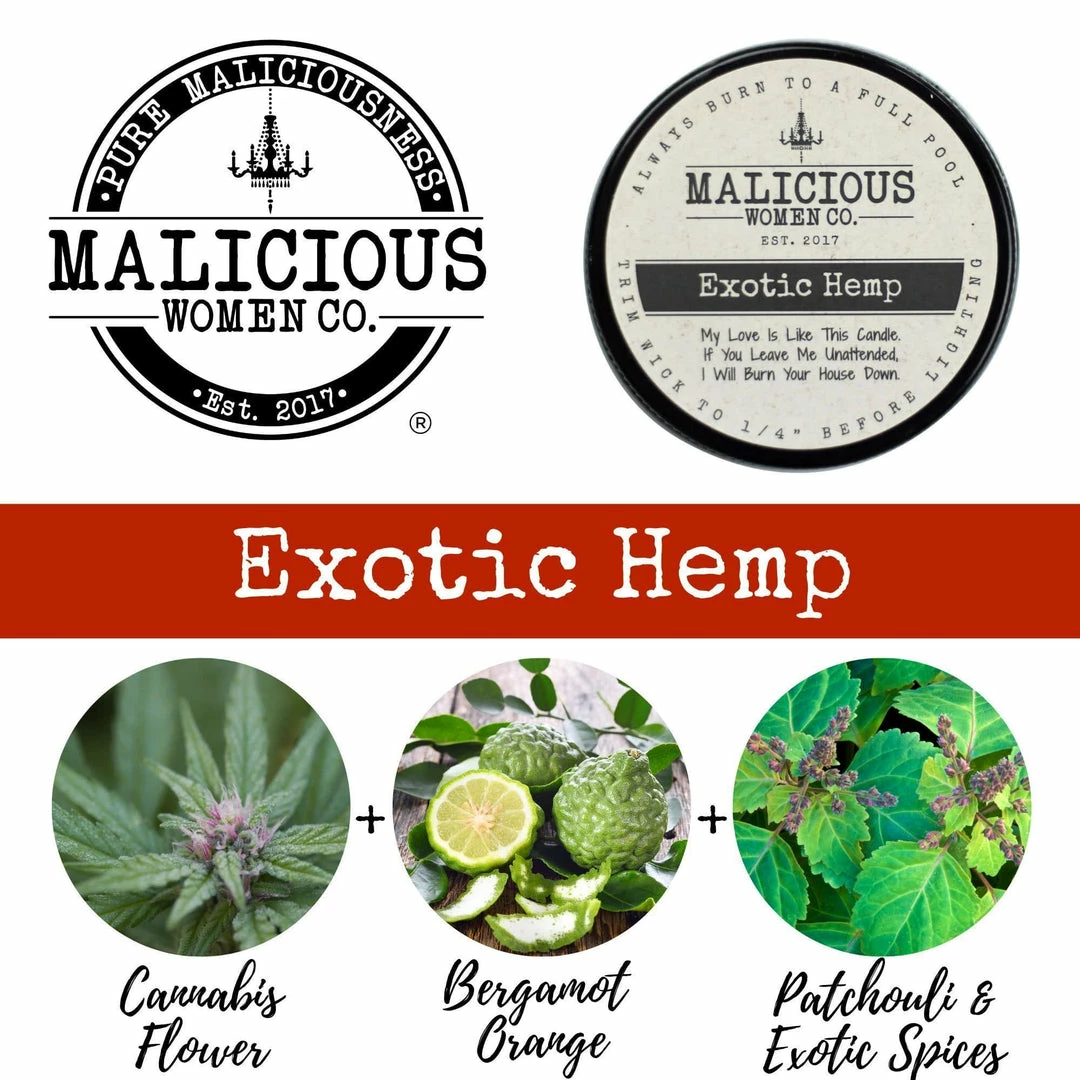 Malicious Women Candle Co. - Magical AF Candles + Scents 5 Malicious Women Candle Co. - Magical AF Candles + Scents