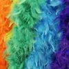 Mother Plucker Feather Boa - Small Lingerie
