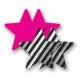 Lingerie Accessories Nippies - Star Pasties