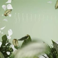 Clit Suction Toys Womanizer - Premium Eco